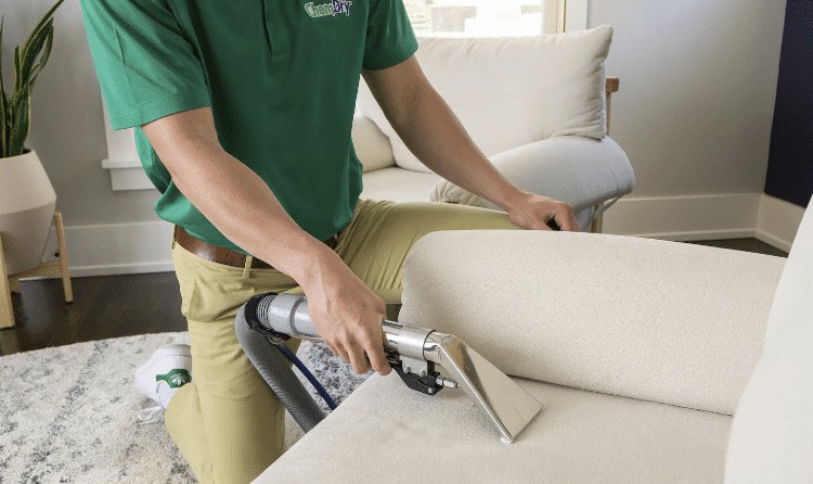 The Ultimate Guide to Sofa Cleaning Services: Why Professional Upholstery Cleaning Matters